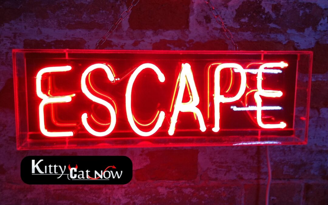 Escape the Ordinary: How to Throw a Bachelor Party He’ll Never Forget in Nashville