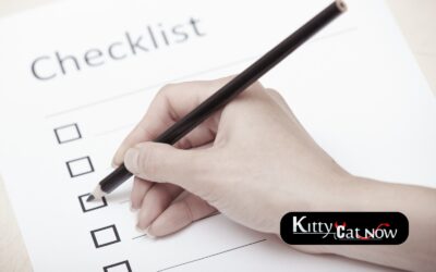 Nashville Bachelor Party Planning Checklist: Fall Edition