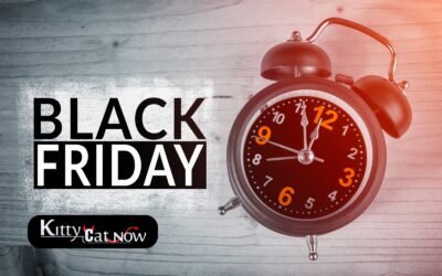 Black Friday Party Ideas: Celebrate Big with Exotic Dancers in Nashville