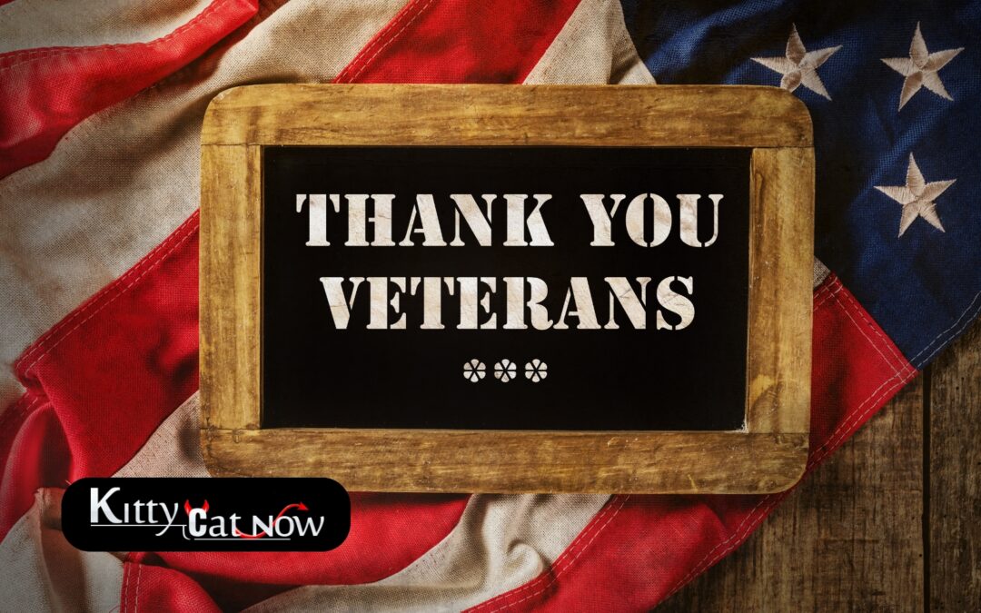 Veterans Day Ideas: Private Entertainers Bring the Party to You in Nashville