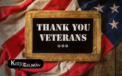 Veterans Day Ideas: Private Entertainers Bring the Party to You in Nashville