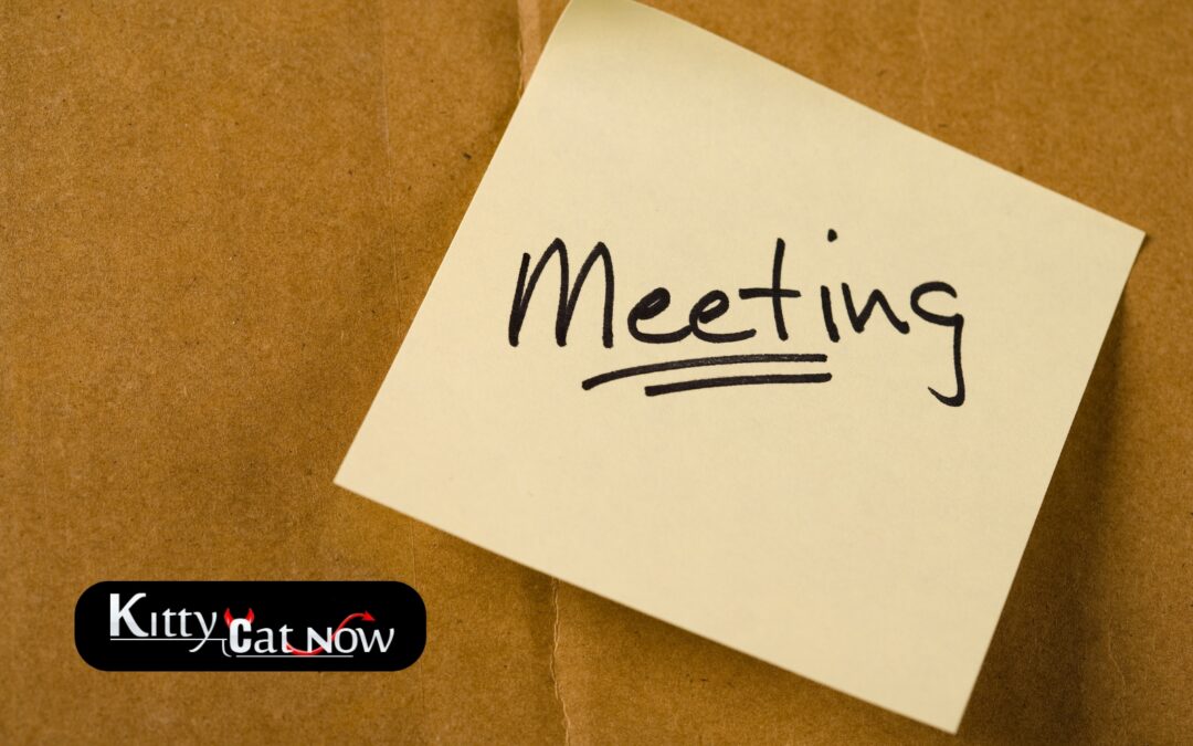 How Private Strippers in Nashville Elevate Annual Club Meetings