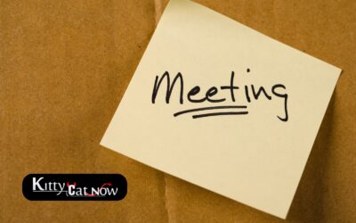 How Private Strippers in Nashville Elevate Annual Club Meetings