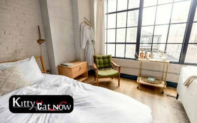 Planning a Private Airbnb Party with Strippers in Nashville