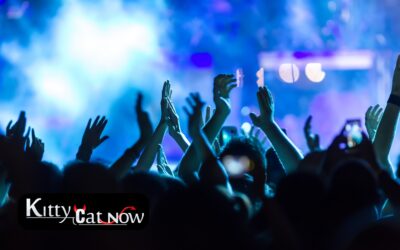 Why Booking Strippers from an Agency Is Safer Than Independents in Nashville