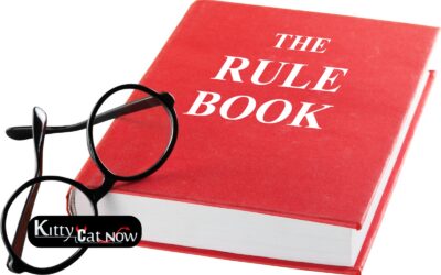 Bachelor Party House Rules in Nashville Before the Strippers Arrive