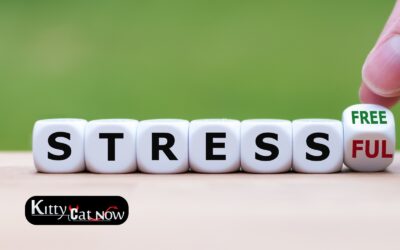 Hosting Private Party Entertainment at Home in Nashville: A Stress-Free Guide