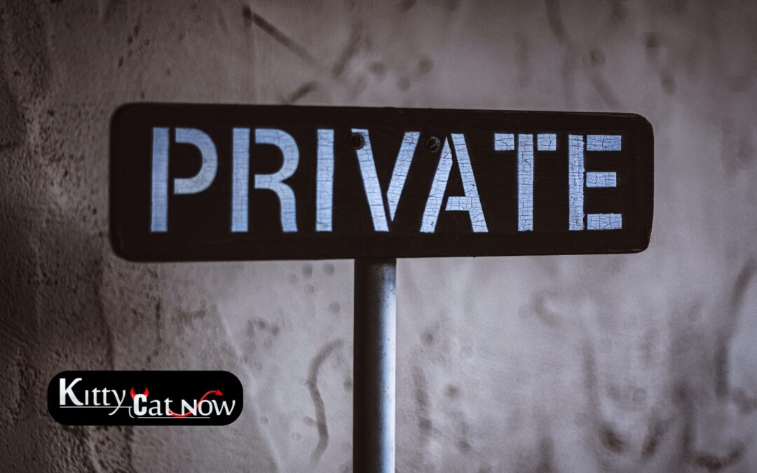 Why Private Party Entertainment Beats the Club Scene in Nashville