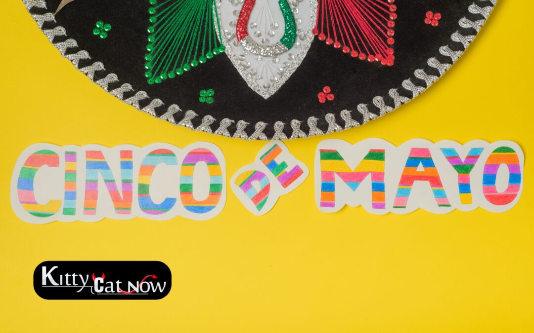 Cinco de Mayo Party Ideas in Nashville: Tacos, Tequila & Private Strippers