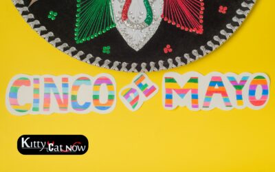 Cinco de Mayo Party Ideas in Nashville: Tacos, Tequila & Private Strippers