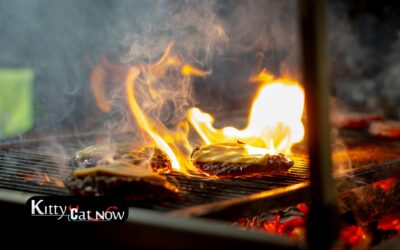 Memorial Day Party Ideas in Nashville: BBQ, Private Entertainment & VIP Vibes