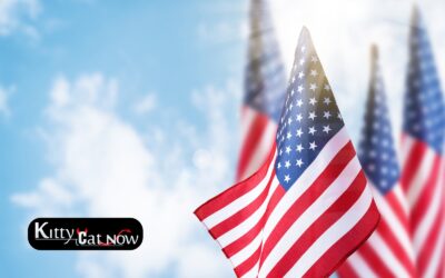 Memorial Day Party Ideas in Nashville with Strippers