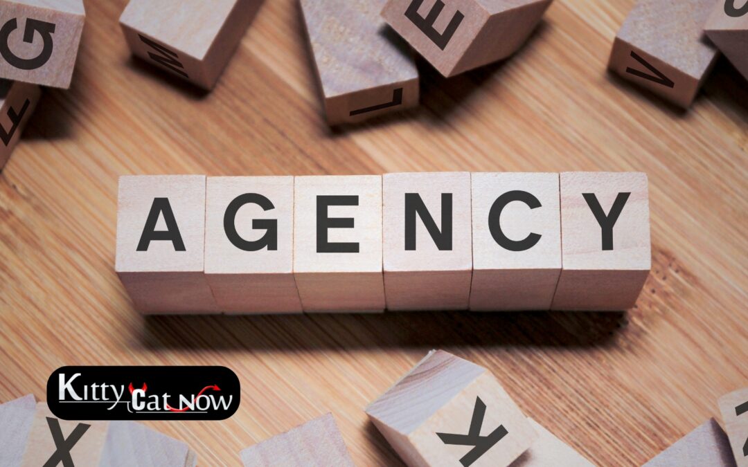 How to Choose a Legit Stripper Agency in Nashville