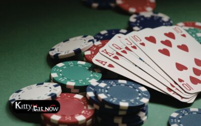 Poker Night Upgrade: Private Entertainment for Your Nashville Home Game