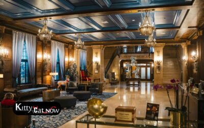 Hotel Suite vs. House Rental: Where to Host Your Nashville Bachelor Party